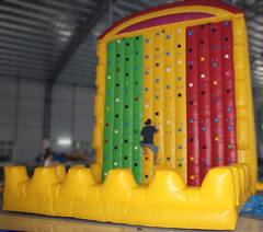 Themed Climbing Wall